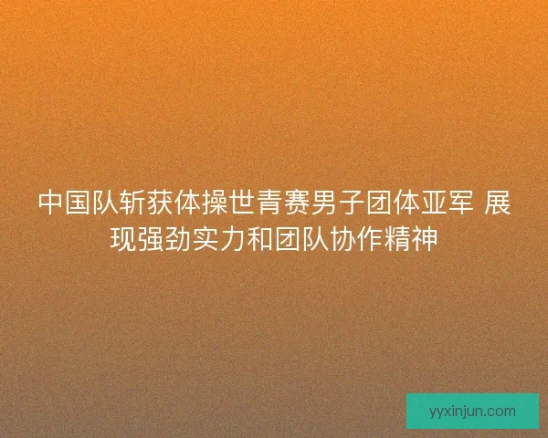中国队斩获体操世青赛男子团体亚军 展现强劲实力和团队协作精神